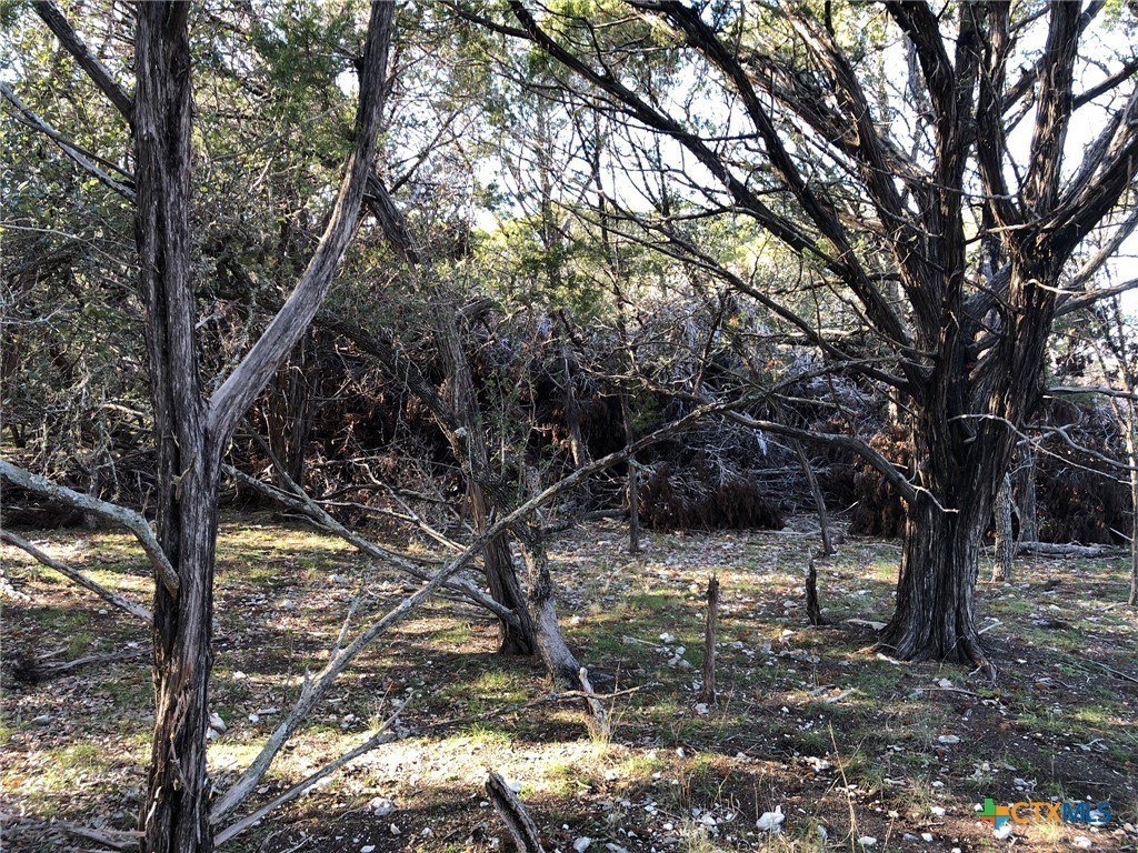 Picture 24