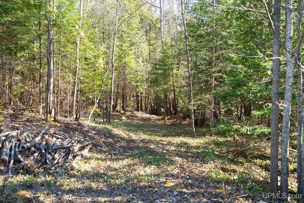Picture 19