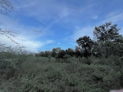 Developable Land with Pond