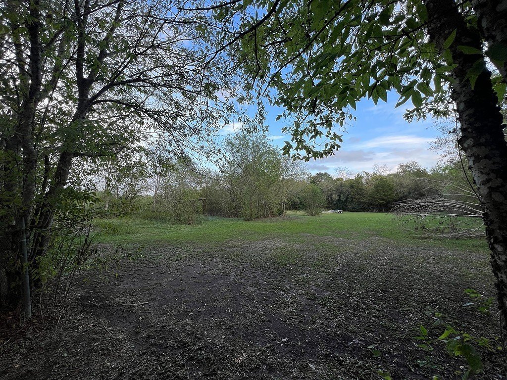 Picture 3