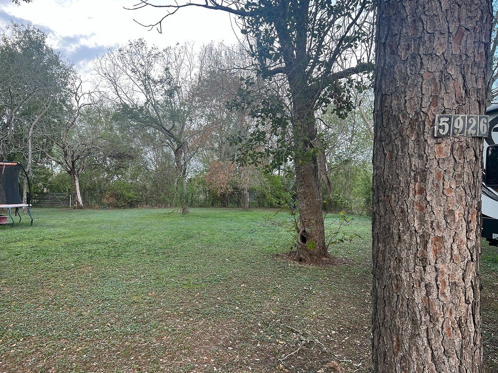 Picture 2