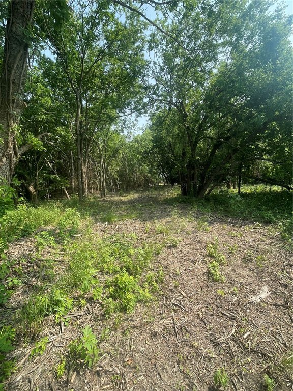 Picture 5