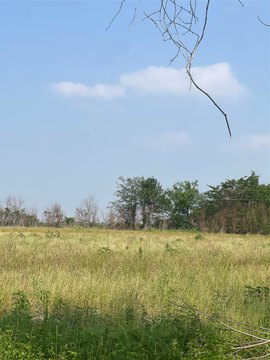Ranch and Farm Land Parcel