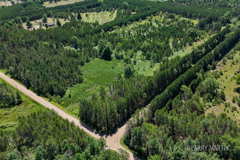 Wooded Land in White Cloud