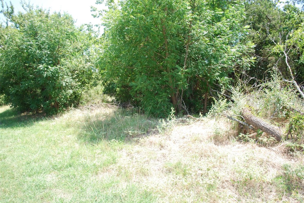 Picture 10