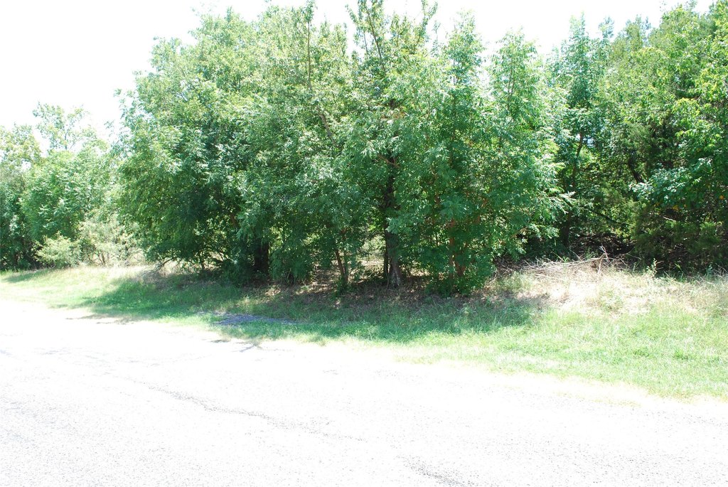 Picture 3