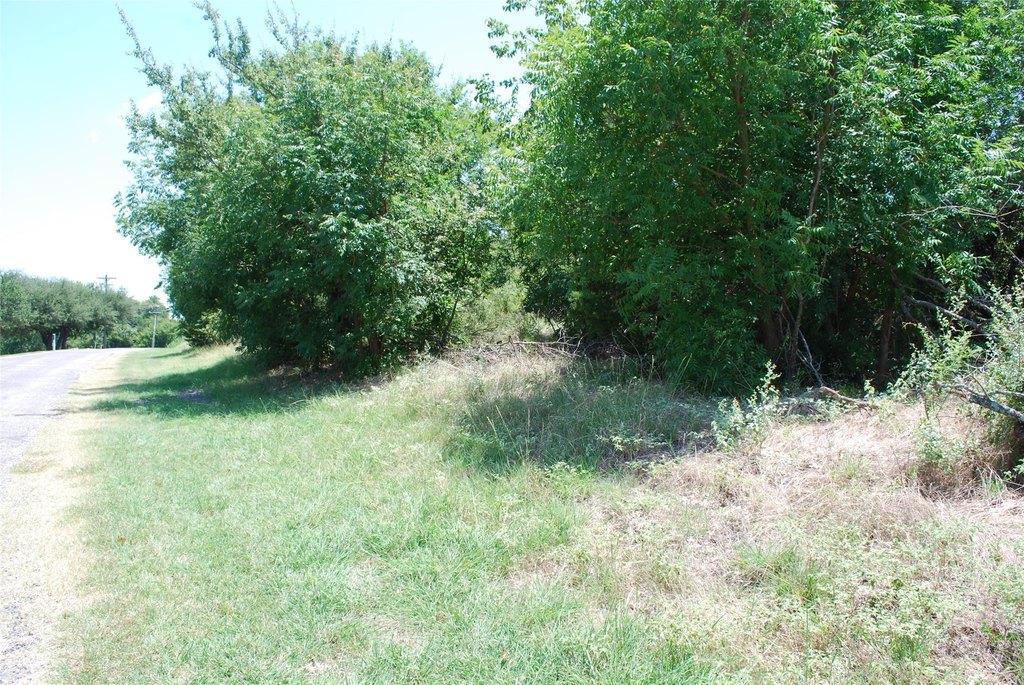 Picture 11