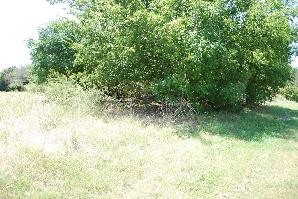 Picture 7