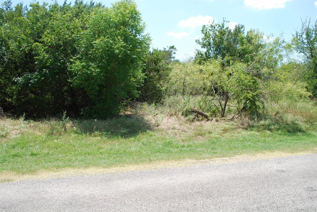 Picture 4