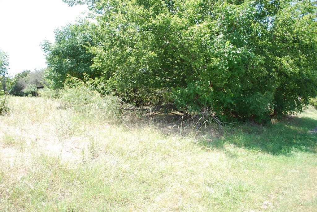 Picture 6