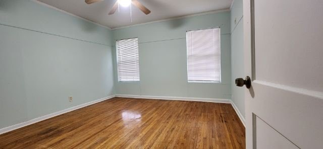 Picture 7