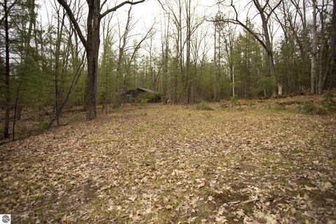 Vacant Lot/Land, Kalkaska, MI