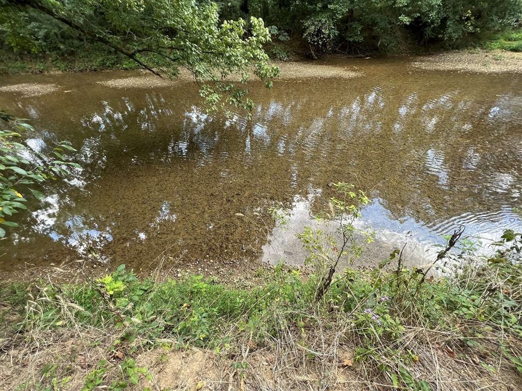 Picture 23