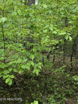 Crossville, TN Land For Sale