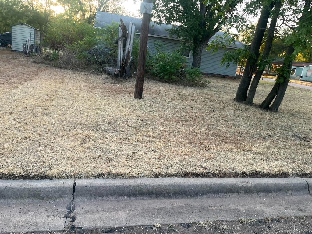 Picture 5