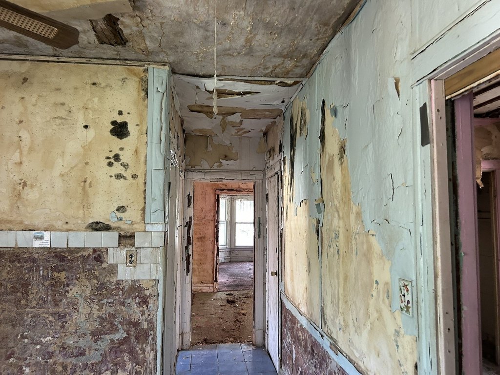 Picture 27