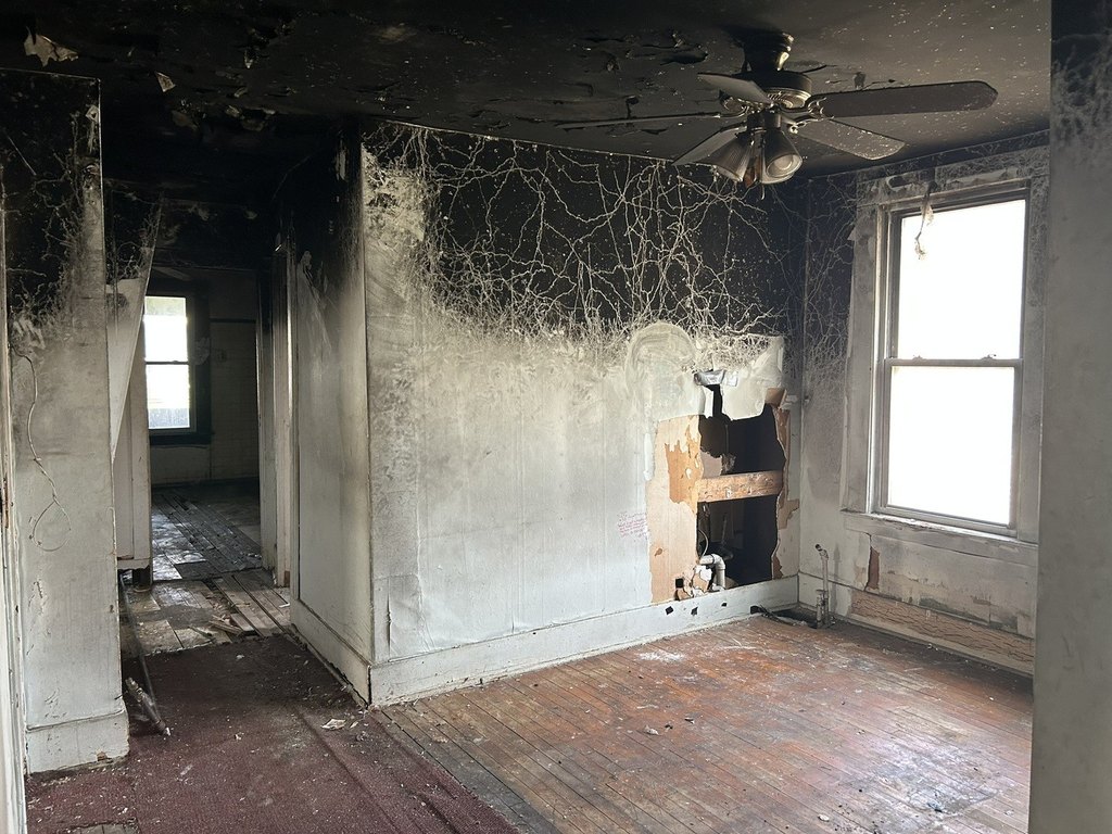 Picture 14