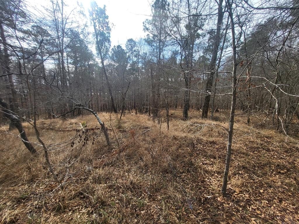 Land with Potential Lake Views