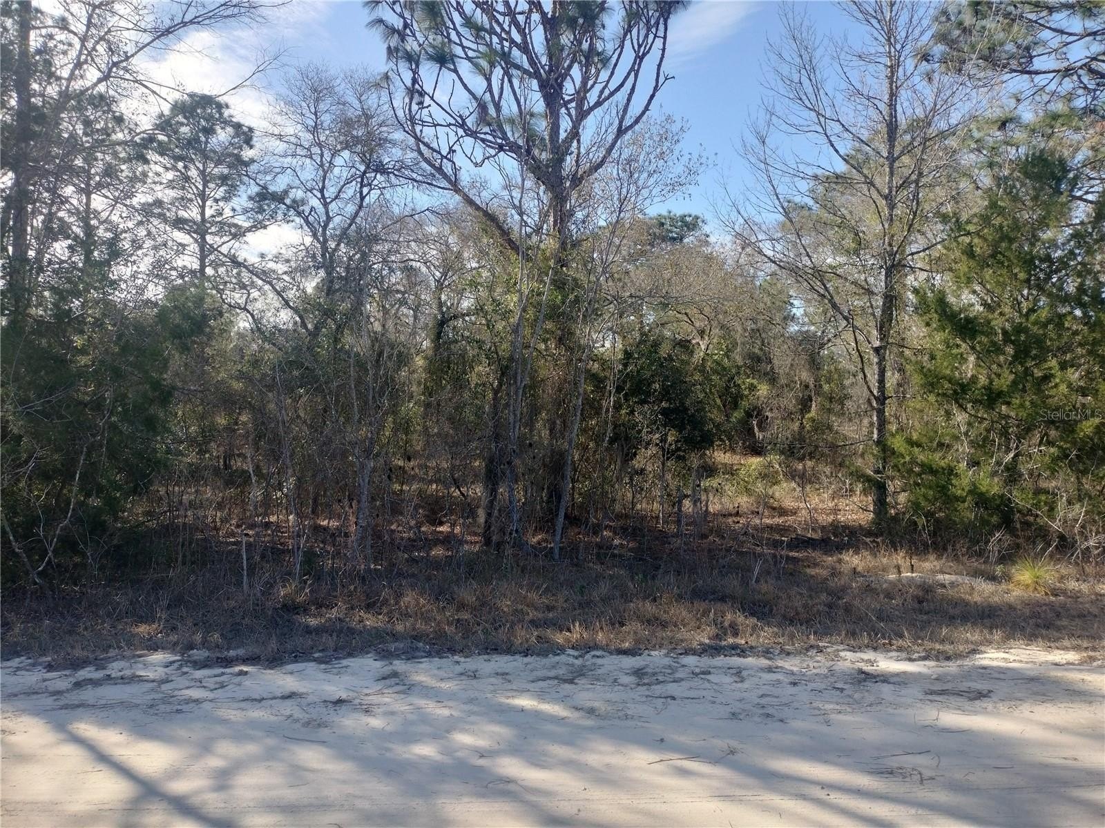 Spacious Vacant Land in Morriston