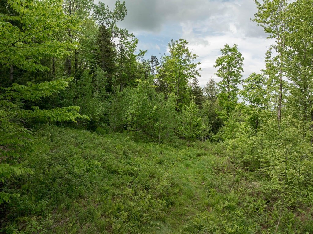 Picture 21