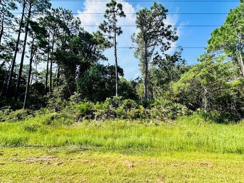 Eastpoint, Florida Land Opportunity