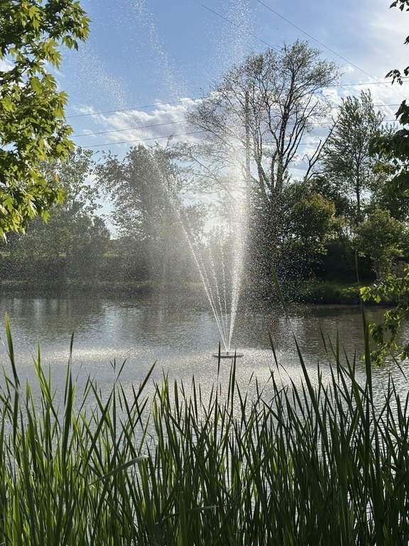 Picture 62