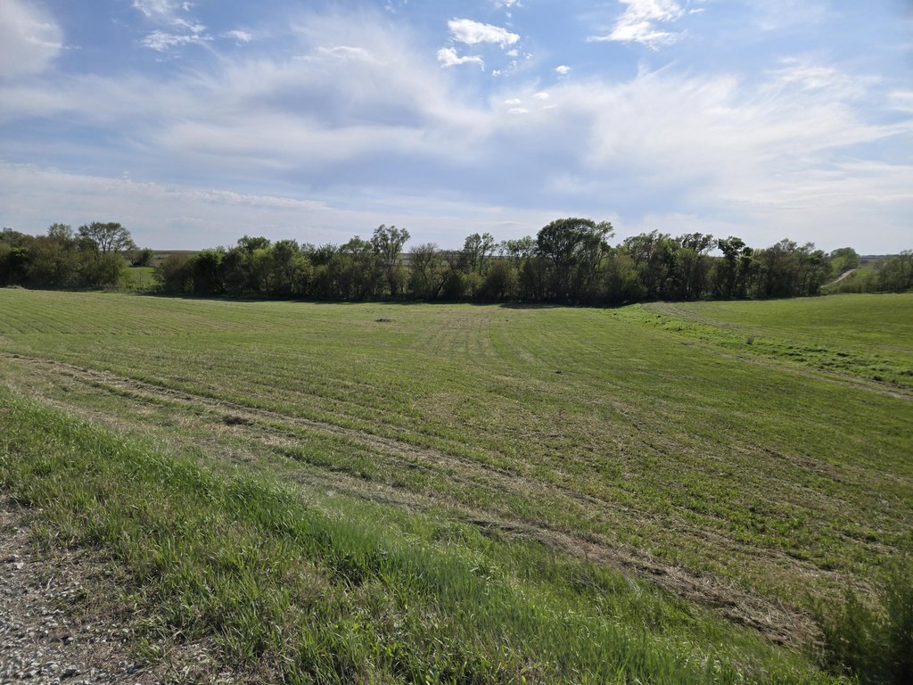 Picture 18