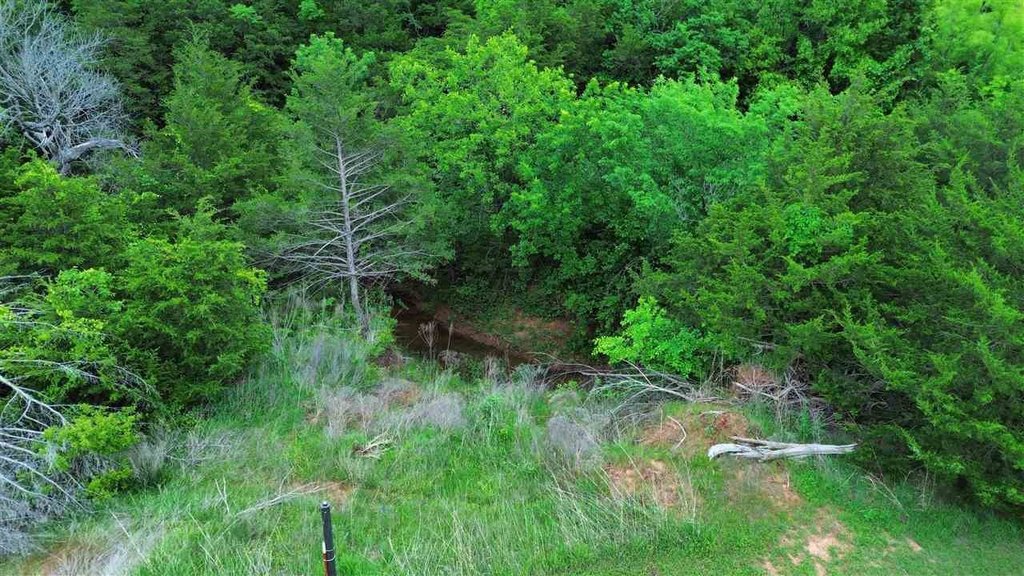Picture 12