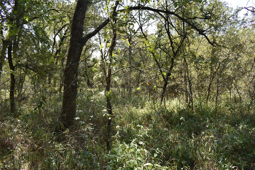 Picture 15