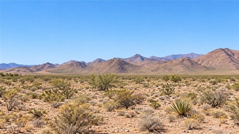 BLM-Adjacent Land