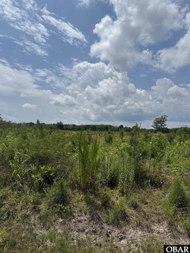 Acre Lot in New Hope