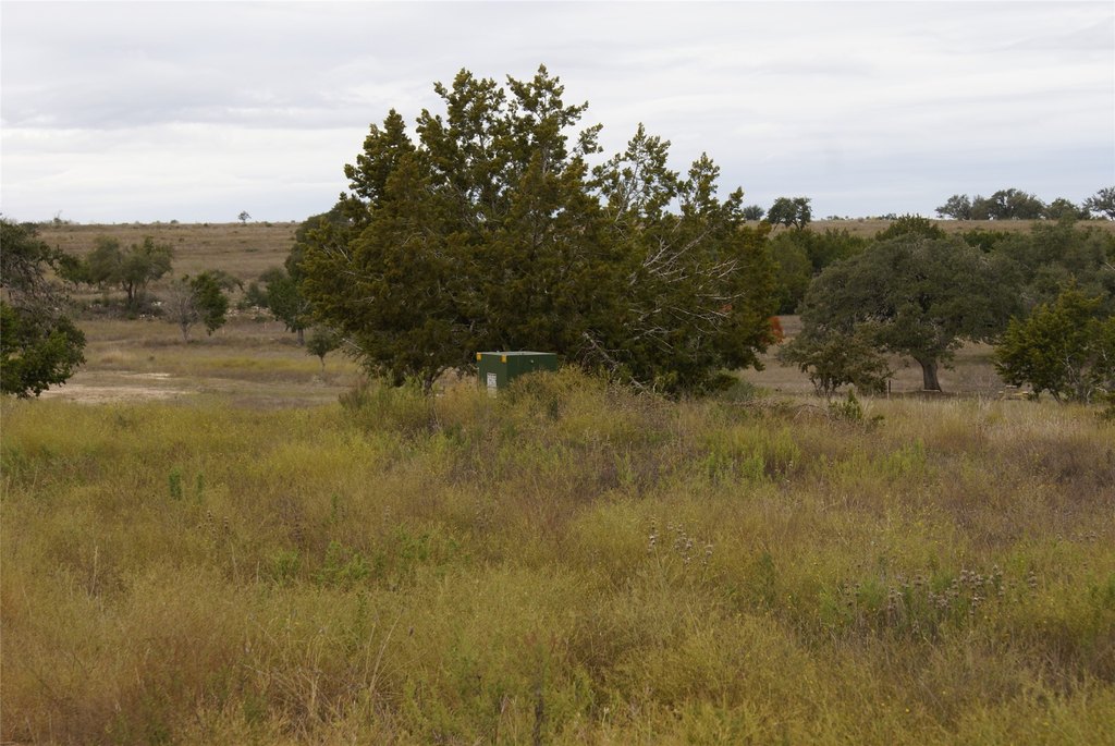Picture 16
