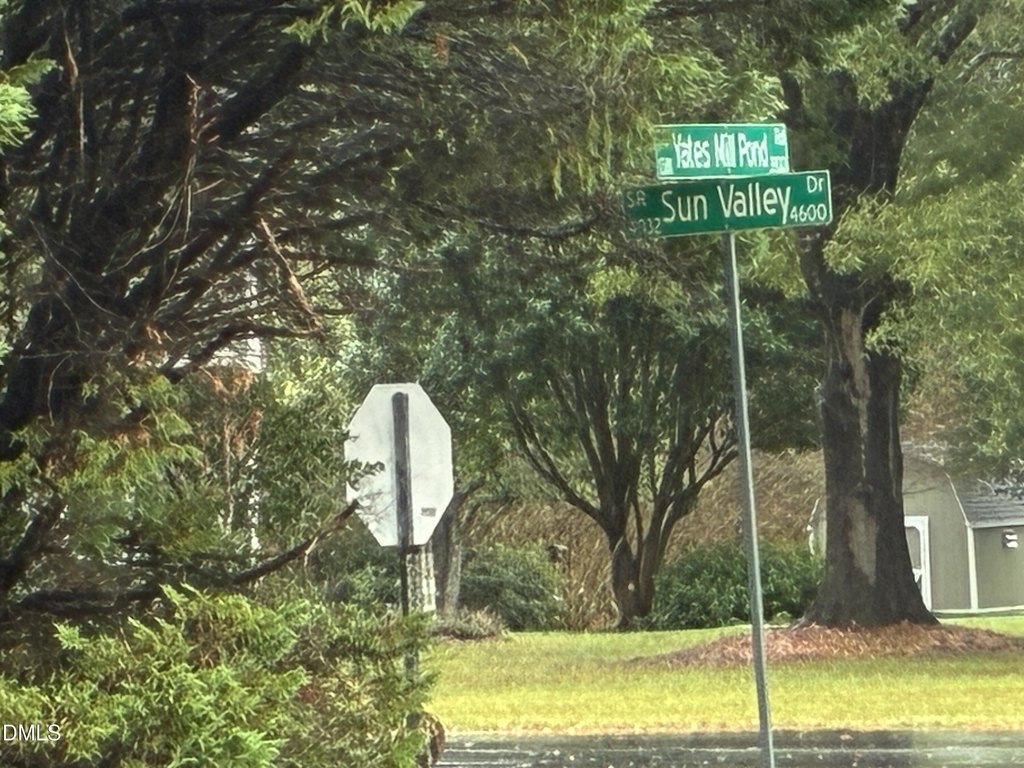 Picture 2