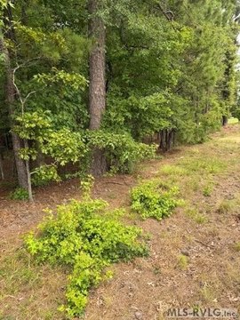 LAND - Valentines, VA