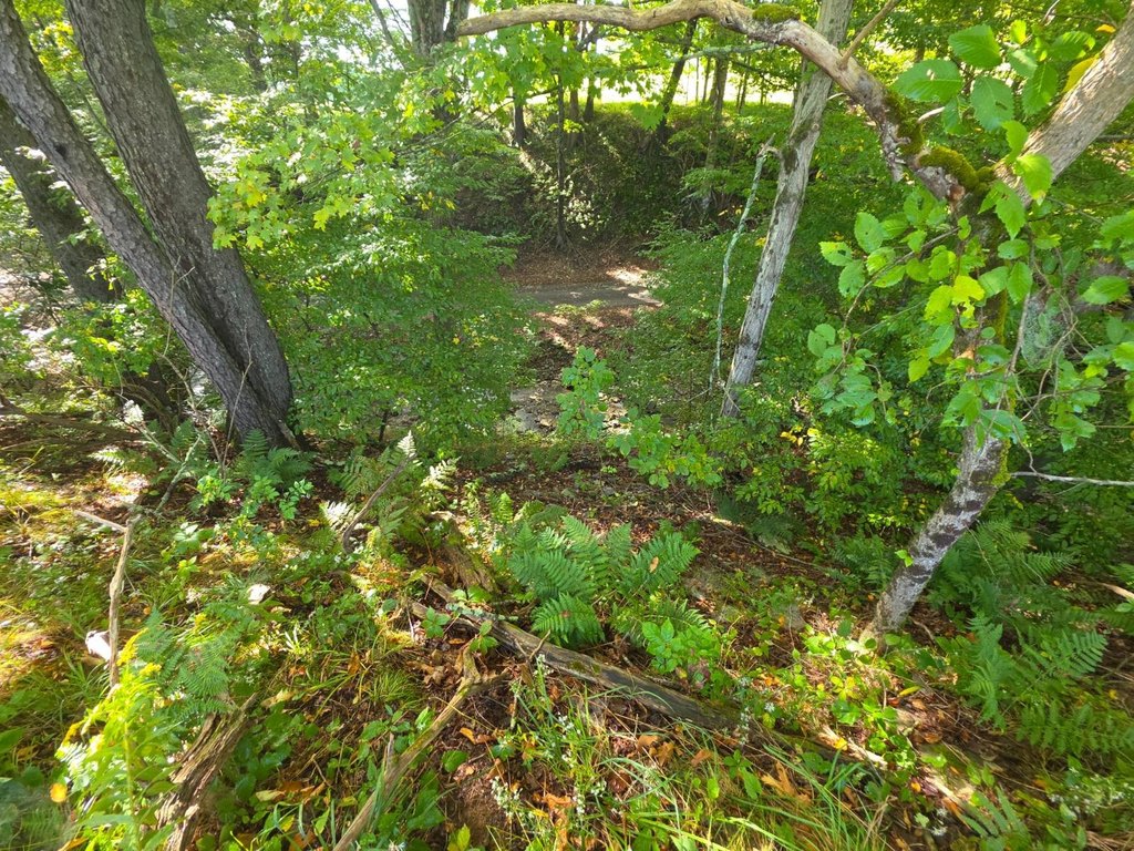 Picture 18