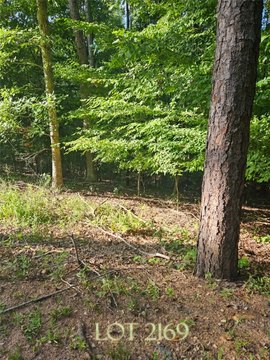 Land, Westminster, SC