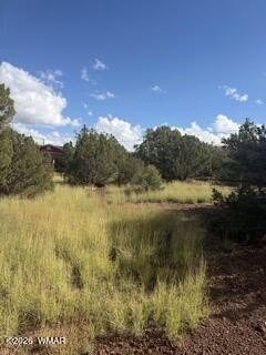 Land, Show Low, AZ