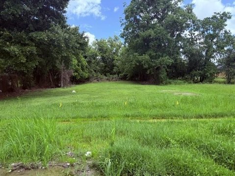 Land, New Orleans, LA