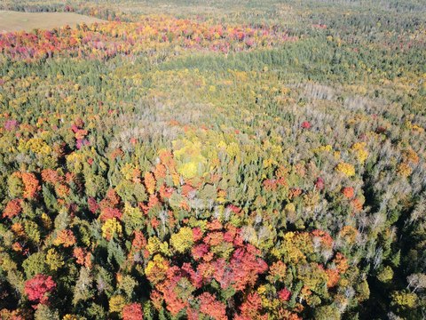 104 Acres in New Sweden