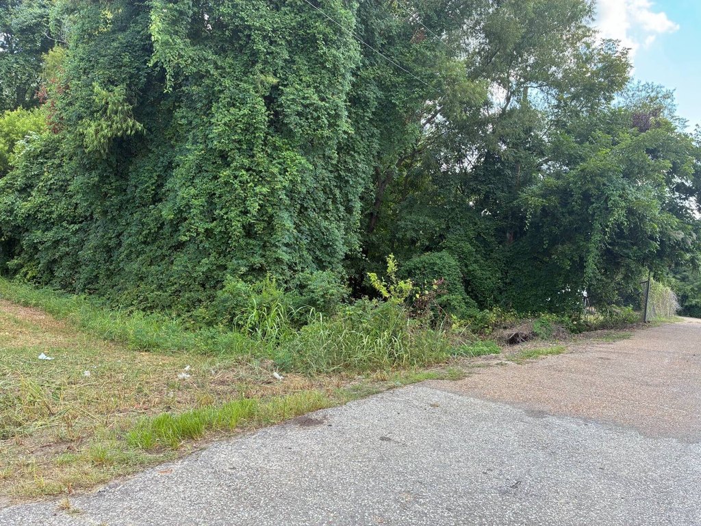 Picture 6