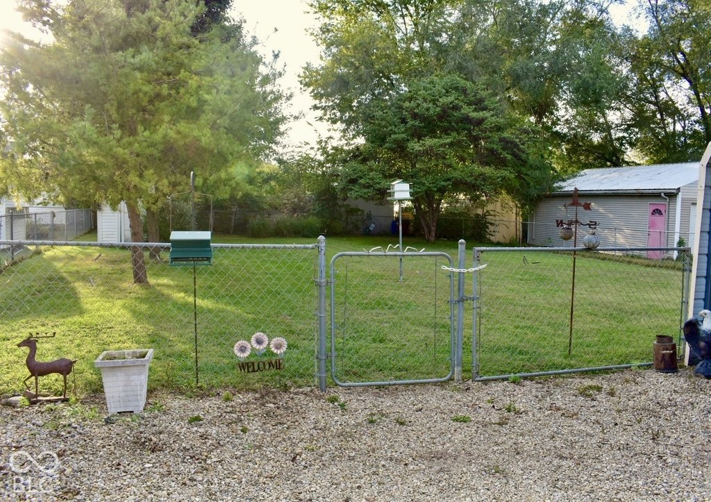 Picture 6