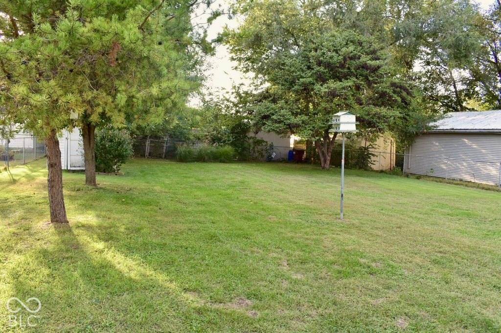 Picture 5