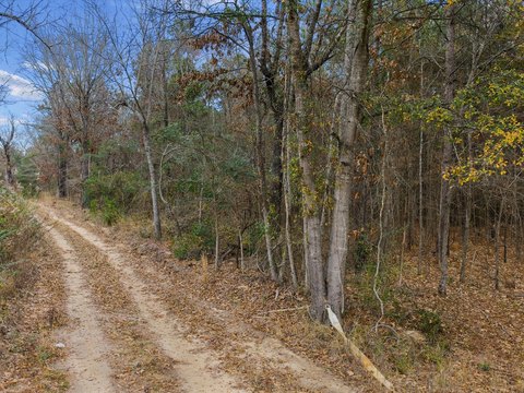 Marshall, TX Unimproved Land