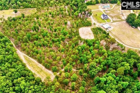 LOTS AND ACREAGE, Swansea, SC