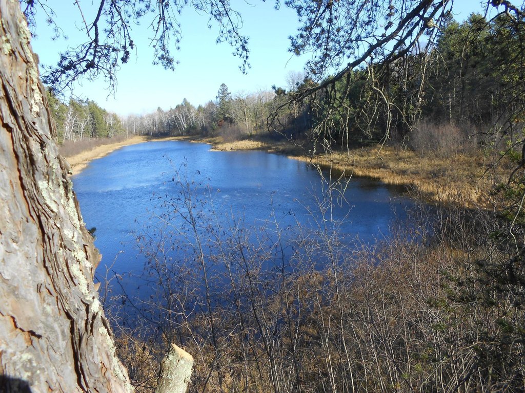 Picture 58