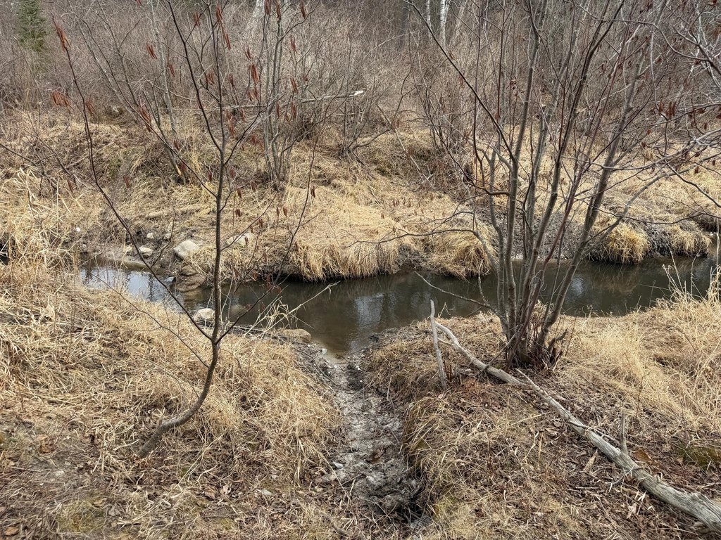 Picture 45