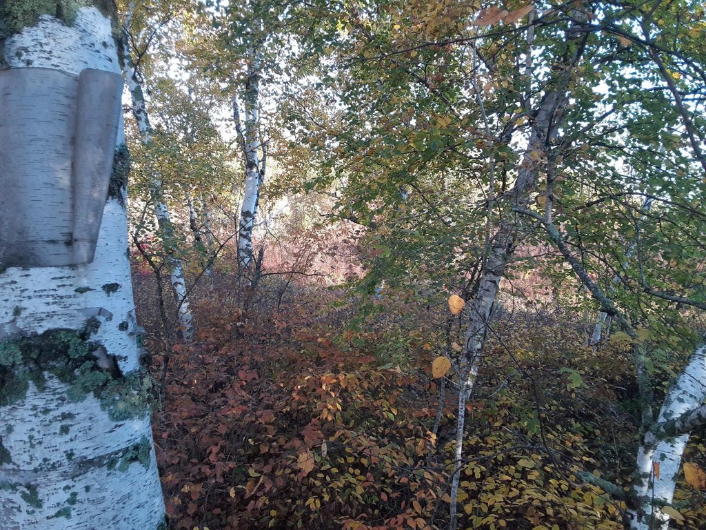 Picture 34
