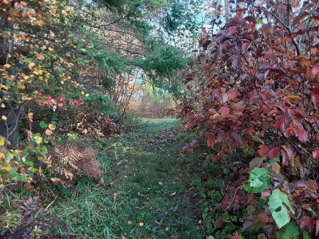 Picture 39
