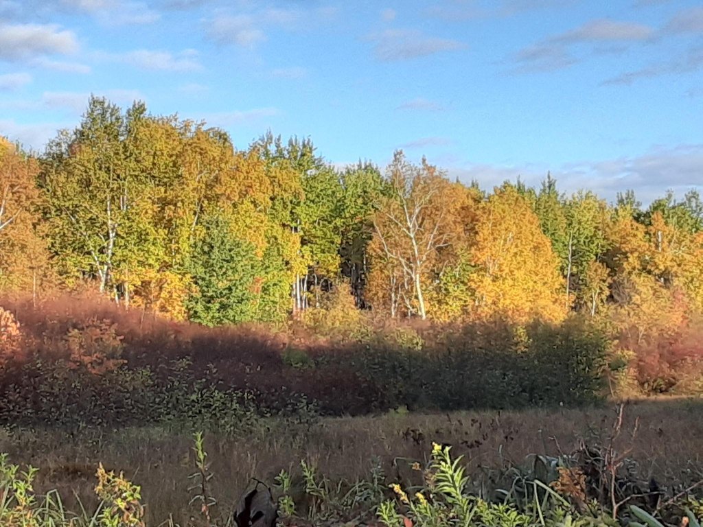 Picture 42