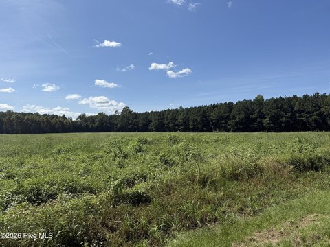 Land, Chocowinity, NC
